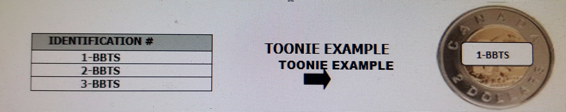 toonie toss sheet example