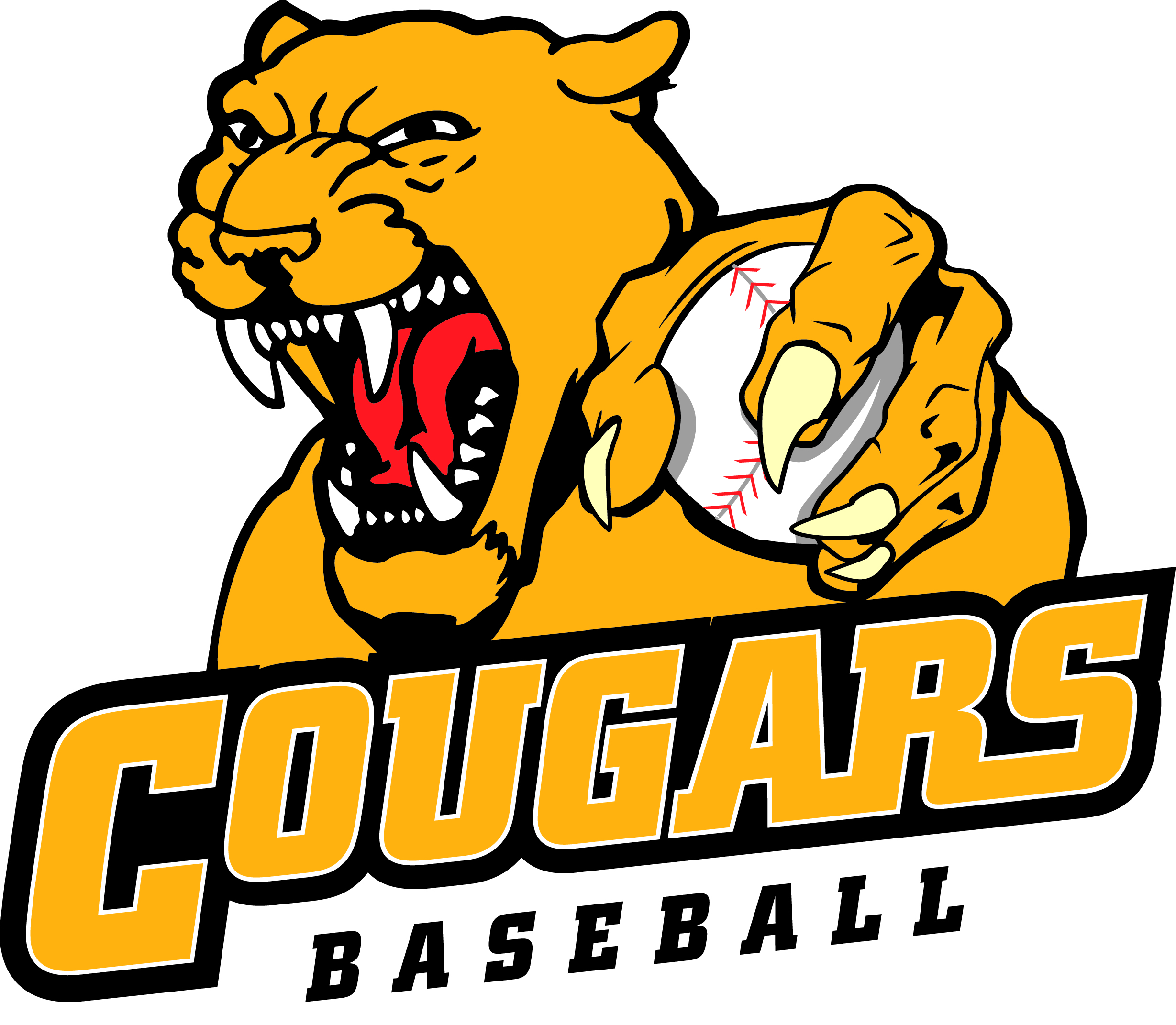 Catskill Mountain Cougars Traveling Baseball Program