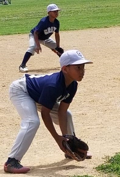 Junior Travel Baseball : D.C. Grays RBI