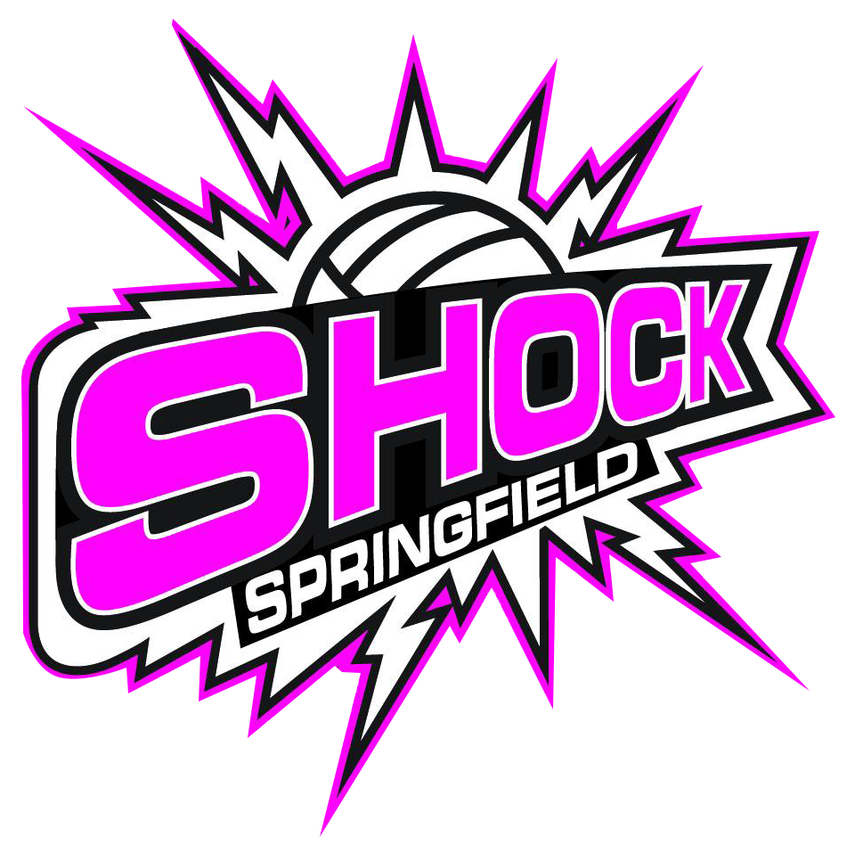 shock the system logo clip art