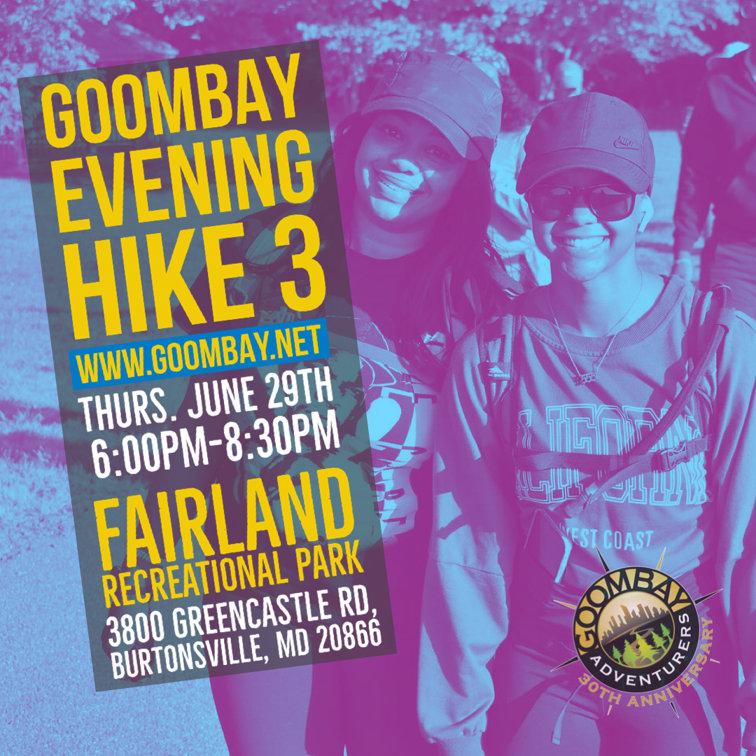 LeagueApps Member Portal