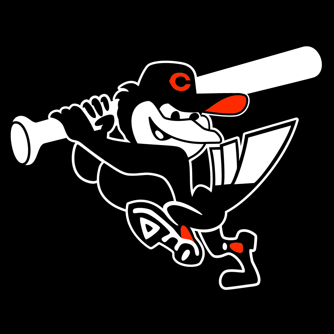 Charlotte Baseball Club : Tournaments