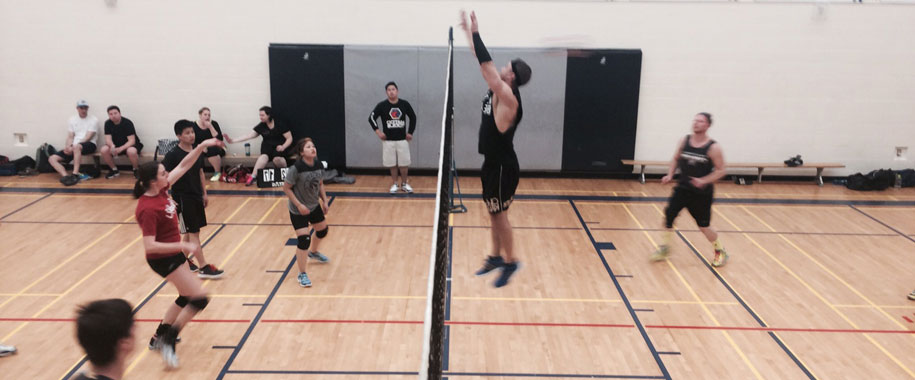 Volleyball Leagues
